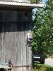 msg - Geburtstagsparty Schnauxi_120