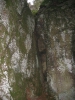 msg - Weihnachtsfeier 2006_180