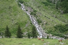 zillertal-2_74