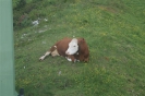 zillertal-3_34